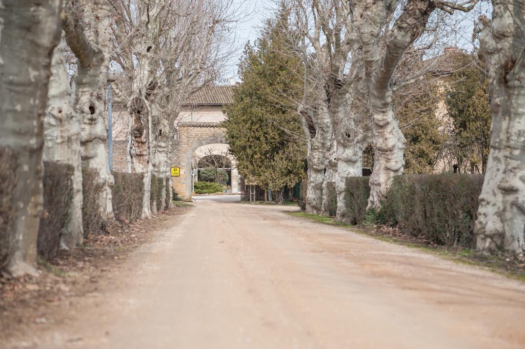 Demeures Et Chateaux L'Abbaye Caladoise - Anciennement Hostellerie Ferme Du Poulet Виллефранче-Сур-Салне Экстерьер фото